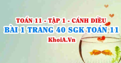 Bài 1 trang 40 SGK Toán 11 tập 1 Cánh Diều